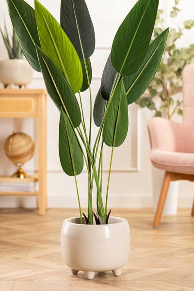 PLASTOVÝ KVĚTINÁČ BOTANICE SADA 2KS 30X24 CM+23X18,5 CM BÉŽOVÁ