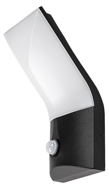 Rabalux 98077172 LED venkovní nástěnné svítidlo Tolna | 10W integrovaný LED zdroj | 770lm | 3000K