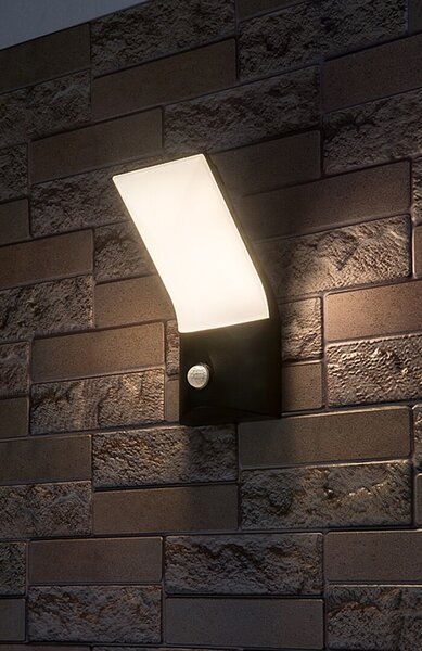 Rabalux 98077172 LED venkovní nástěnné svítidlo Tolna | 10W integrovaný LED zdroj | 770lm | 3000K