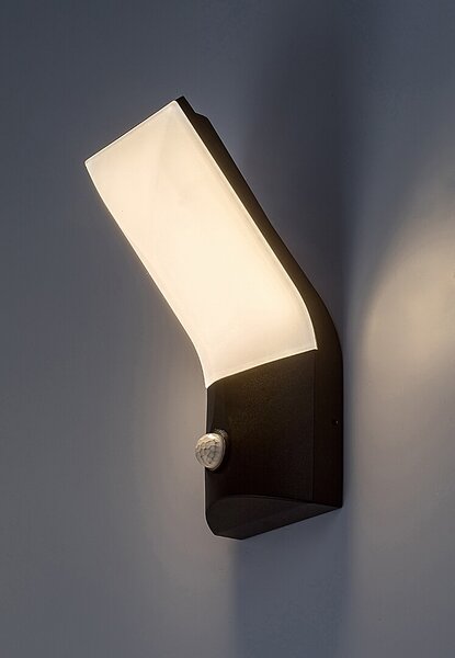 Rabalux 98077172 LED venkovní nástěnné svítidlo Tolna | 10W integrovaný LED zdroj | 770lm | 3000K