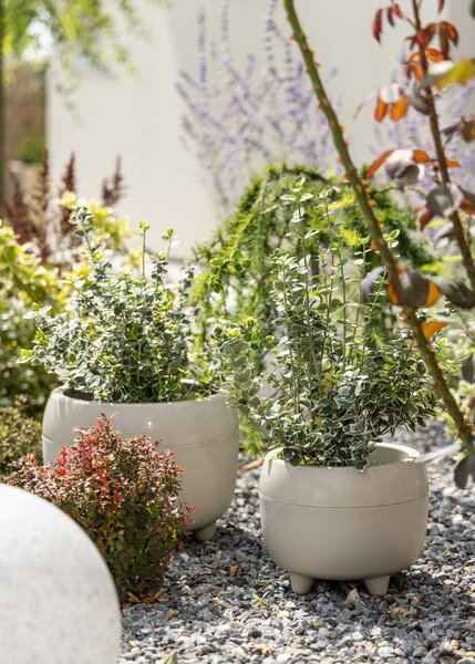 PLASTOVÝ KVĚTINÁČ BOTANICE SADA 2KS 30X24 CM+23X18,5 CM BÉŽOVÁ