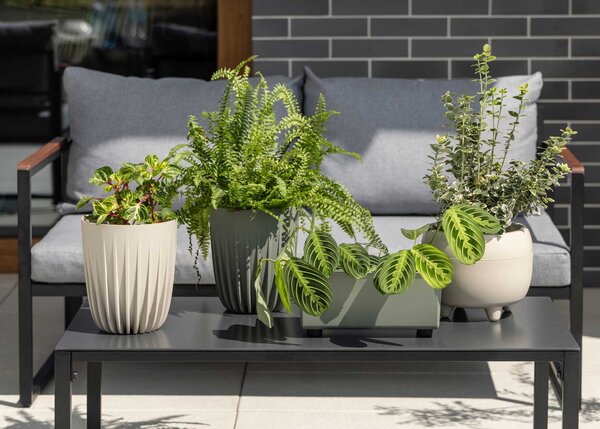 PLASTOVÝ KVĚTINÁČ BOTANICE SADA 2KS 30X24 CM+23X18,5 CM KRÉMOVÁ