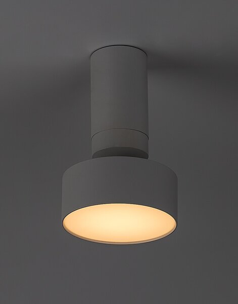 Rabalux 98071326 LED přisazené stropní svítidlo Ovidia | 10W integrovaný LED zdroj | 640lm | 3000K