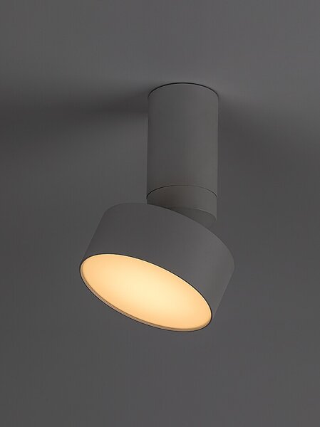 Rabalux 98071326 LED přisazené stropní svítidlo Ovidia | 10W integrovaný LED zdroj | 640lm | 3000K