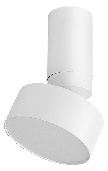 Rabalux 98071326 LED přisazené stropní svítidlo Ovidia | 10W integrovaný LED zdroj | 640lm | 3000K