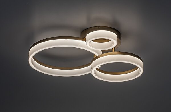 Rabalux 98071383 LED přisazené stropní svítidlo Amilia | 24W integrovaný LED zdroj | 2400lm | 3000+4000+6500K
