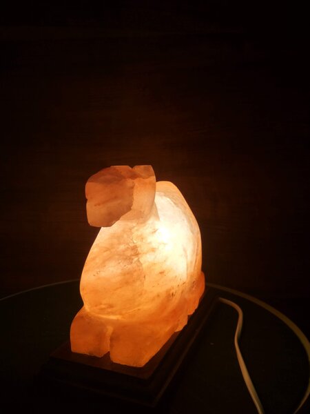 Solná lampa - velbloud