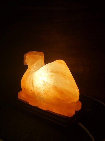 Solná lampa - velbloud