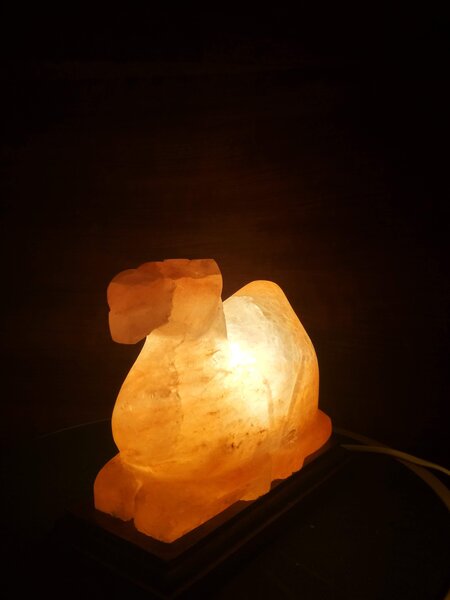 Solná lampa - velbloud