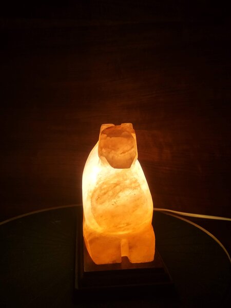 Solná lampa - velbloud