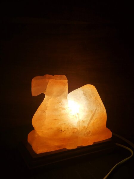 Solná lampa - velbloud