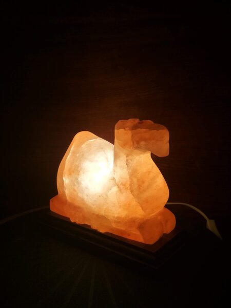 Solná lampa - velbloud
