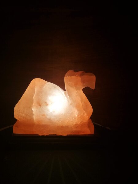 Solná lampa - velbloud