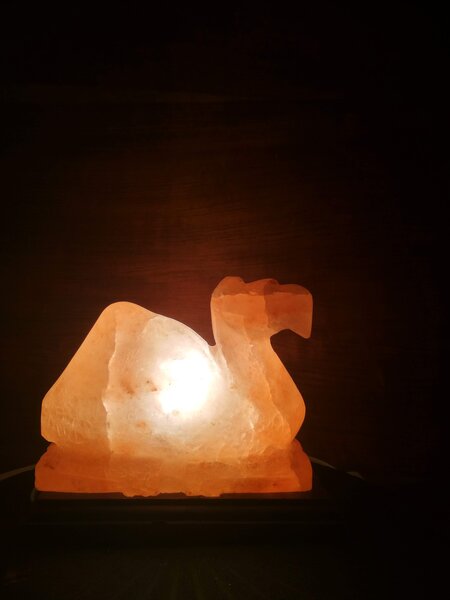 Solná lampa - velbloud
