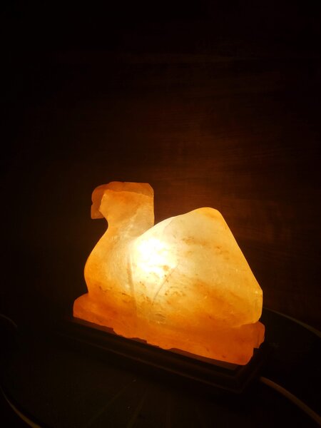Solná lampa - velbloud
