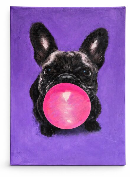 Obraz Frenchie Bubble