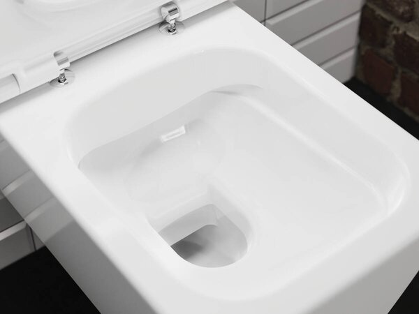 Hansgrohe EluPura Q - Závěsné WC 540, AquaFall splachování, SmartClean + sedátko se SoftClose a QuickRelease, bílá 61117450