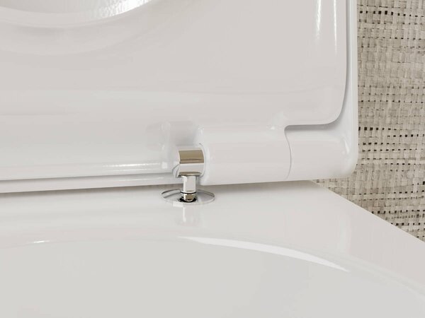Hansgrohe EluPura S závěsná WC souprava 540 bez splachovacího okraje s WC sedátkem a poklopem s funkcí SoftClose a QuickRelease, HygieneEffect, bílá 62021450