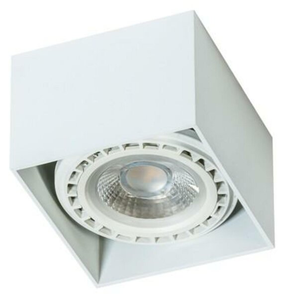 Stropní přisazené bodové svítidlo AZzardo Eco Alex white AZ1835 GU10+ADAP111/ES111 1x40W/1x50W IP20 12cm 230V bílé