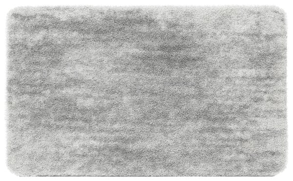 KOUPELNOVÁ PŘEDLOŽKA, 60/100 cm Esposa - Koupelnové předložky