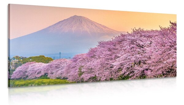 Obraz nádherné Japonsko