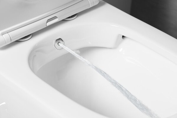 Sapho Sapho, PACO CLEANWASH WC kombi mísa, integrovaná baterie a bidetová sprška, spodní/zadní, bílá, PC1012RX