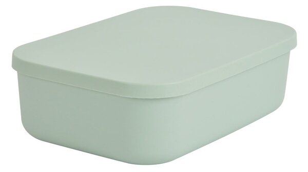 Světle zelený plastový úložný box s víkem 24x18x8 cm – Homéa