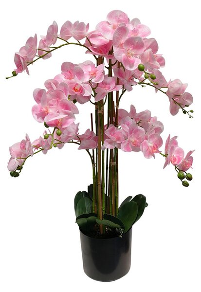 Umělá orchidej růžová 80 cm Eterna Real touch - Růžová - 71 - 90 cm