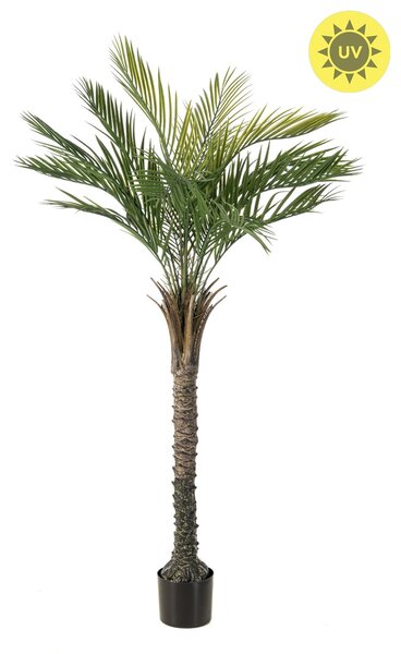 Umělá Palma Phoenix venkovní, 150cm