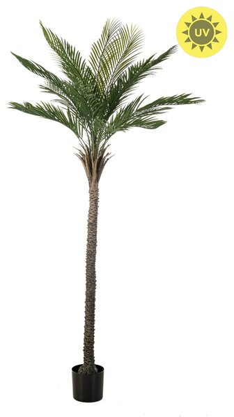 Umělá Palma Phoenix venkovní, 210cm