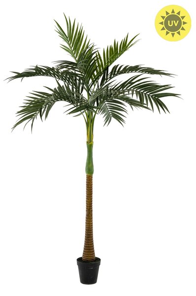 Umělá Palma datlová venkovní, 245cm