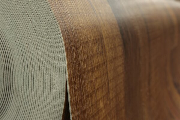 PVC podlaha Tarkett Evolution Orleans 3