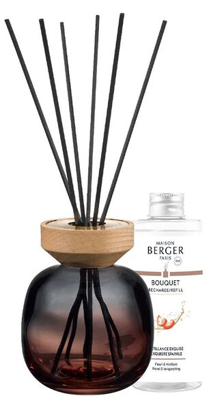 Maison Berger Paris Aroma Difuzér Wood Červený s Vůní Intenzivní třpyt