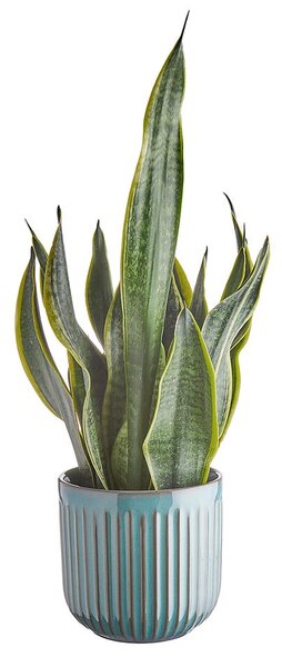 CUBIST Květináč 14 cm - tm. zelená