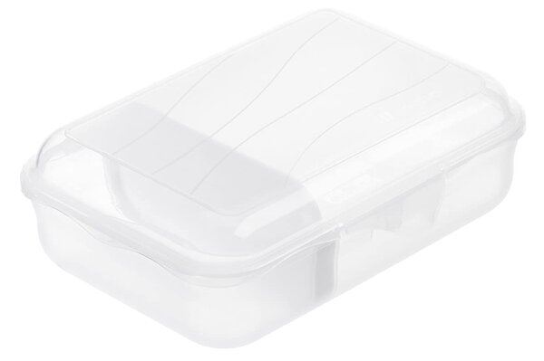 Rotho Svačinový box, dělený s přepážkou, FUNBOX, 0,9l