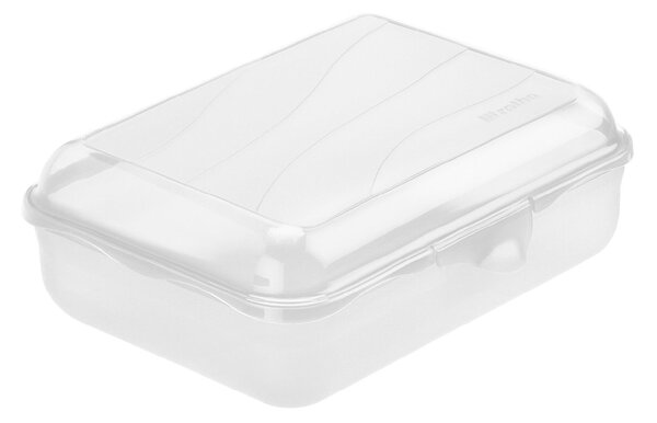 Rotho Svačinový box, do školy i na cesty, FUNBOX, 1,25l