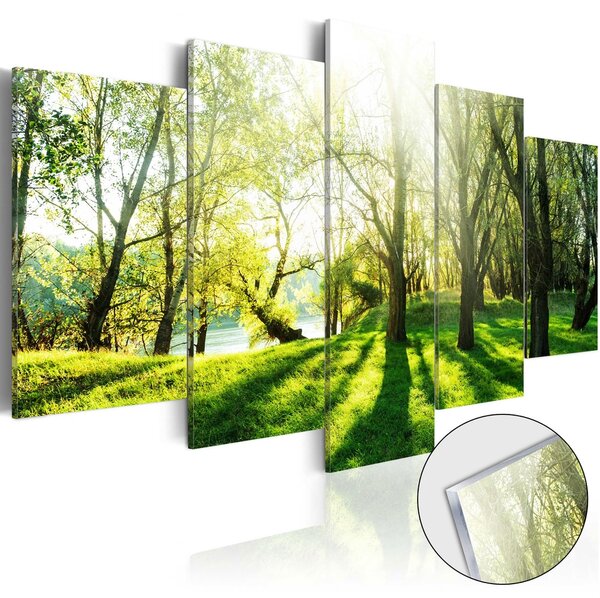 Obraz sytě zelený les na akrylátovém skle - Green Glade
