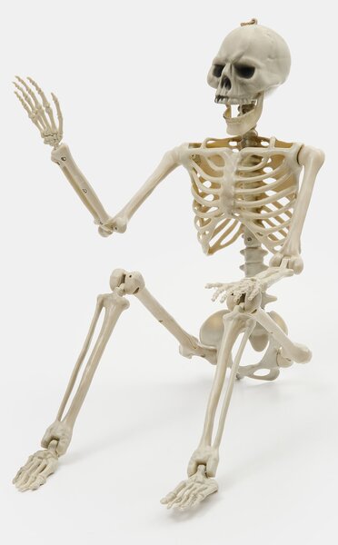 Sinsay - Halloweenská závěsná dekorace ve tvaru kostry - bílá