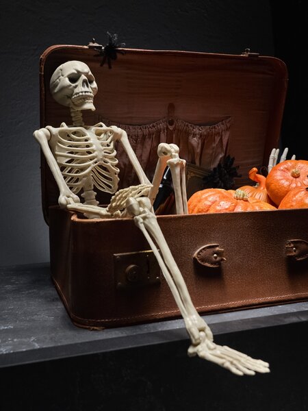 Sinsay - Halloweenská závěsná dekorace ve tvaru kostry - bílá
