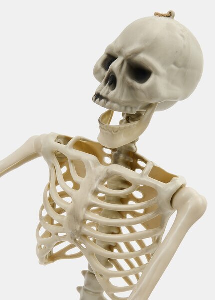 Sinsay - Halloweenská závěsná dekorace ve tvaru kostry - bílá
