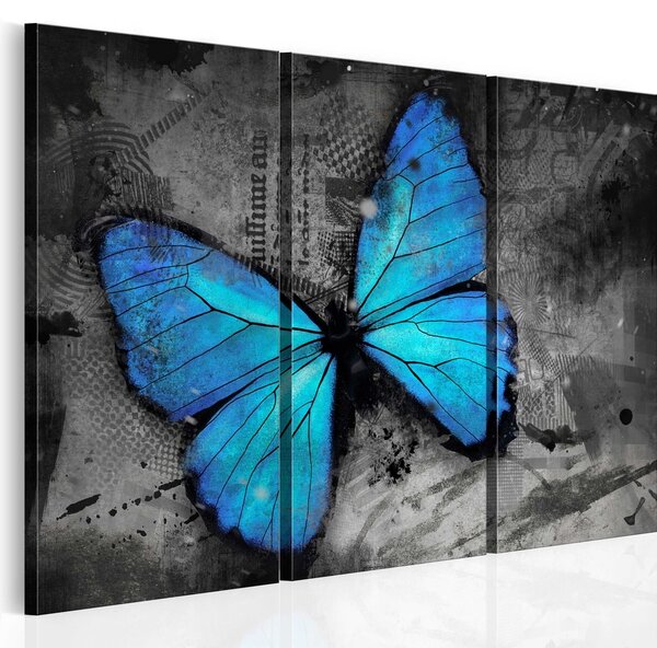 Obraz modrý motýl - The study of butterfly