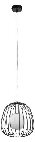Lustr na lanku BELL 1xG9/12W/230V pr. 24 cm černá/lesklý chrom