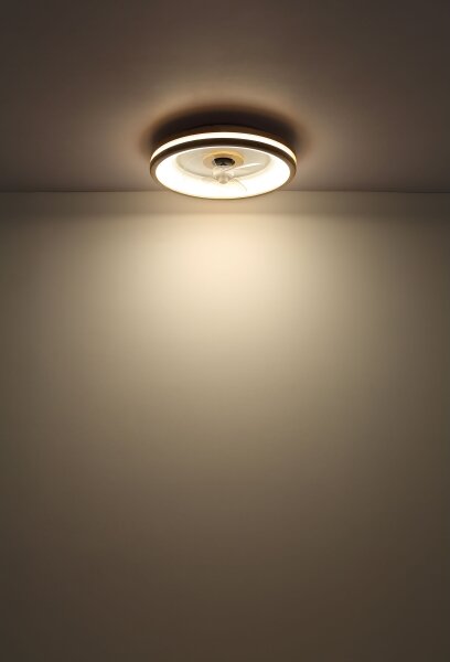 Globo 03650 - LED Stropní svítidlo s ventilátorem GATIAN LED/30W/230V hnědá + DO
