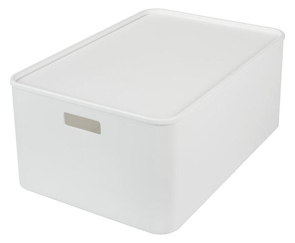 W5 Úložný box s víkem, 31 l (100405379)