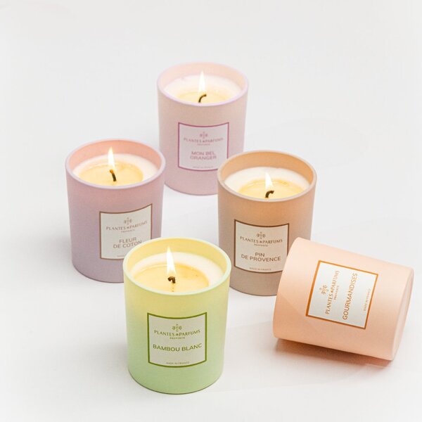 Plantes et Parfums de Provence Bambou Blanc