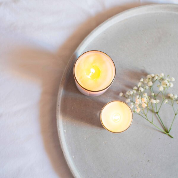 Plantes et Parfums de Provence Bambou Blanc