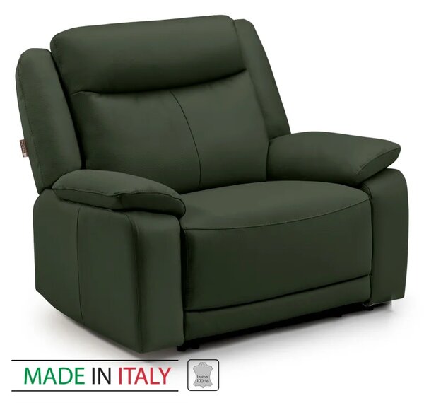 Kožené křeslo CONTINENTAL 1P, zelená (green 321)