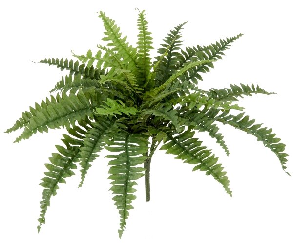 Umělá rostlina Bostonské kapradí, 60cm