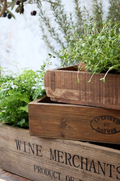 Úložný dřevěný box s přihrádkami Nature 50 cm