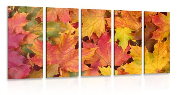 5-dílný obraz listy podzimu